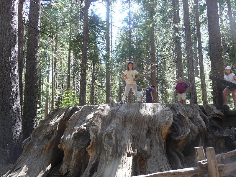 p1070727.jpg - Kayla on Giant Sequoia tree stump @ Calaveras Big Trees State Park