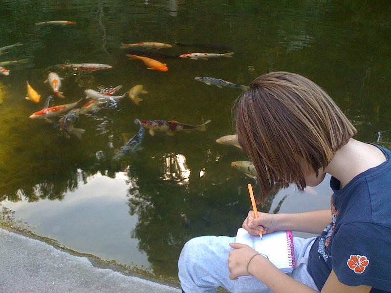 img_0654.jpg - Kayla sketching the koi