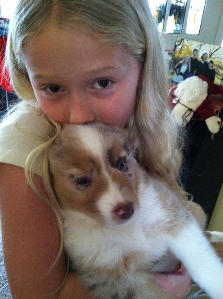 img_3772.jpg - Kinsey loves her new puppy