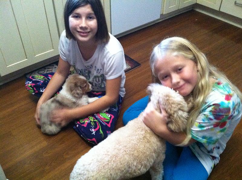 img_3812.jpg - Kayla and Kinsey giving love to both pups!