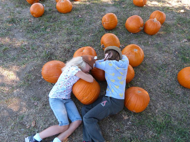 p1010615.jpg - Alway have to get a shot of them sleeping in the pumpkin patch. We've been doing this since Kayla was a baby.